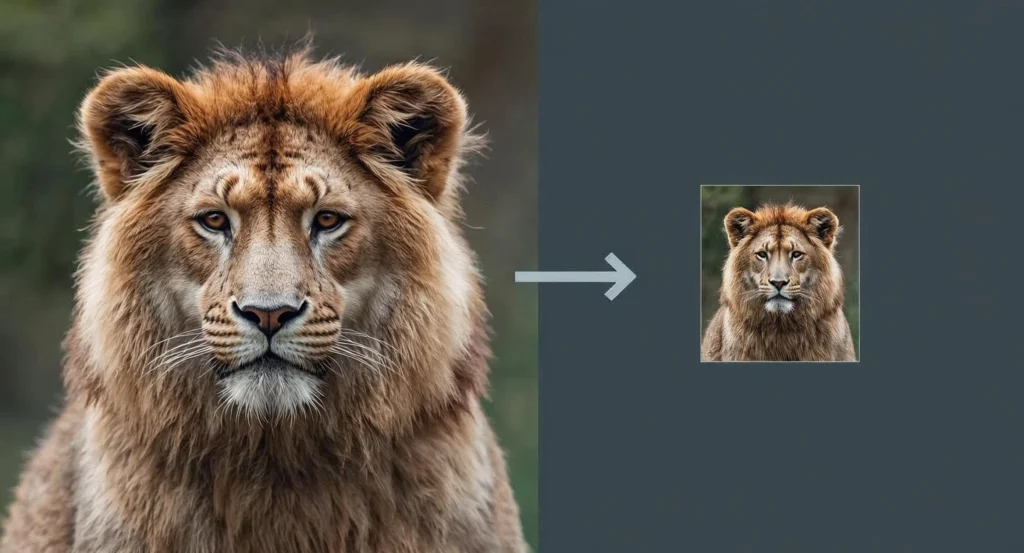 compress images for SEO
